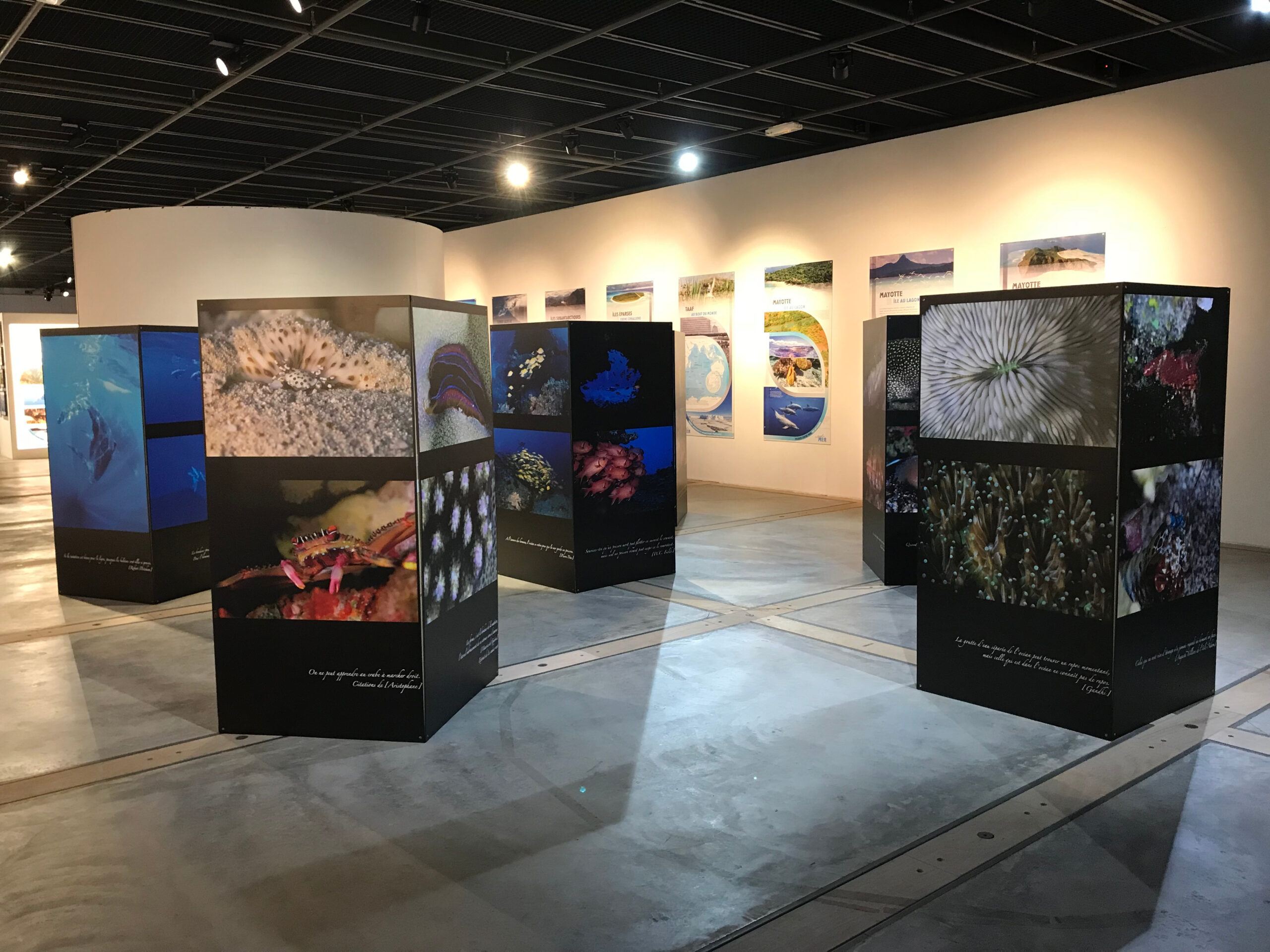 Expositions
